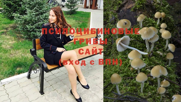 стаф Верея