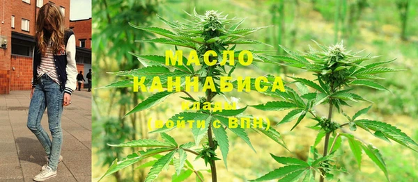 спайс Бородино