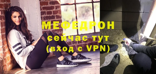 стаф Верея