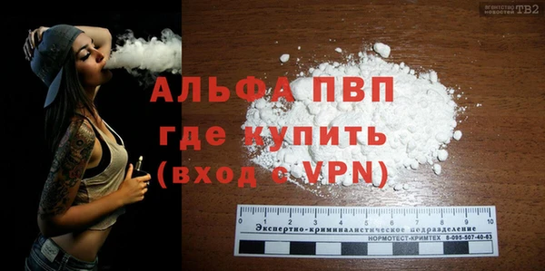 стаф Верея