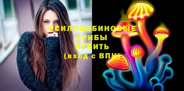спайс Бородино